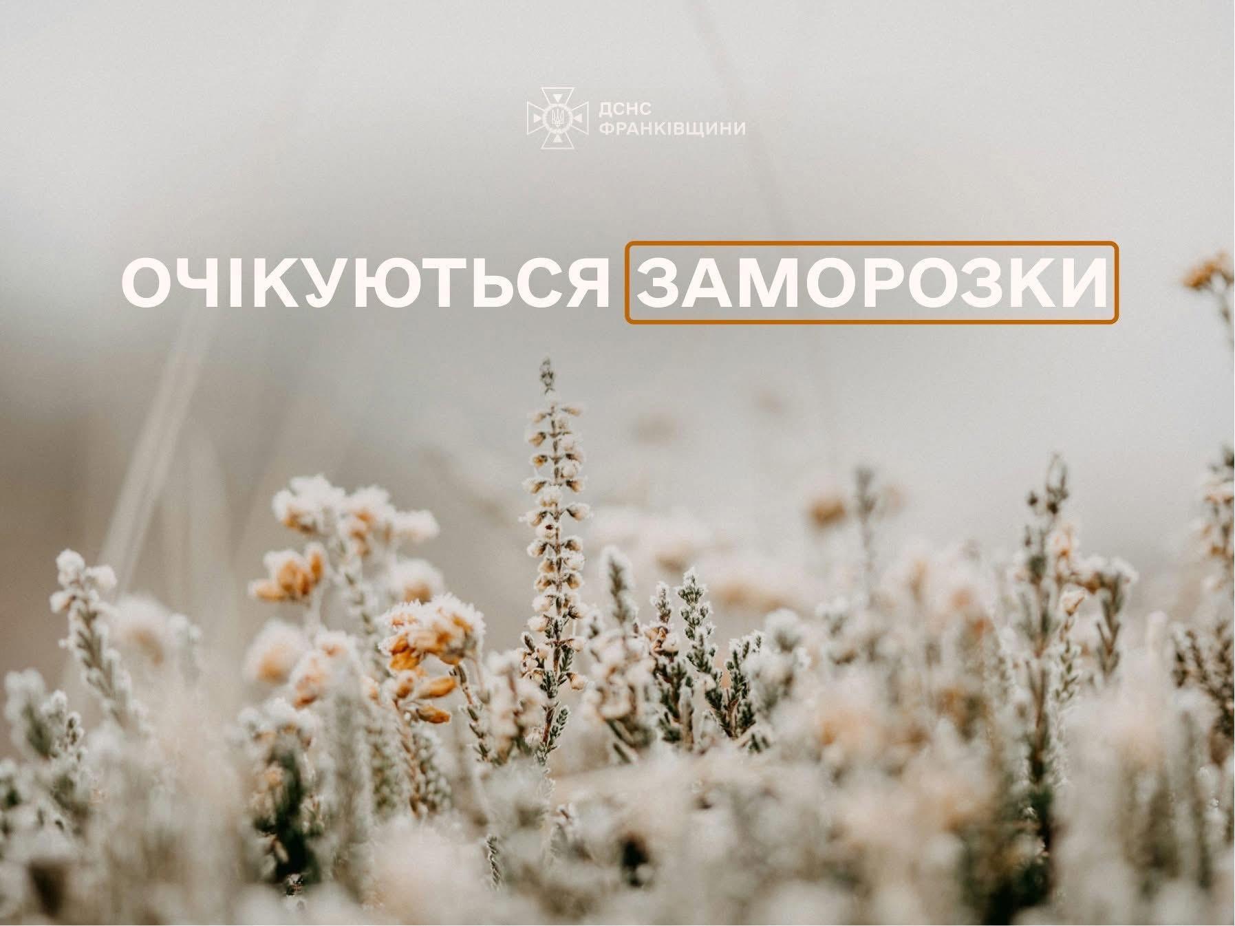 Прикарпатців попереджають про сильні заморозки