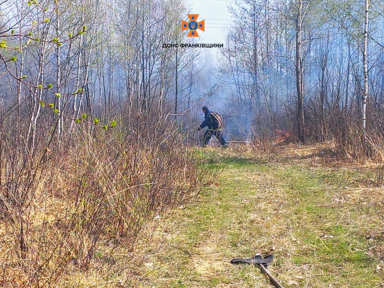 На Надвірнянщині вигоріло 1500 м² лісу