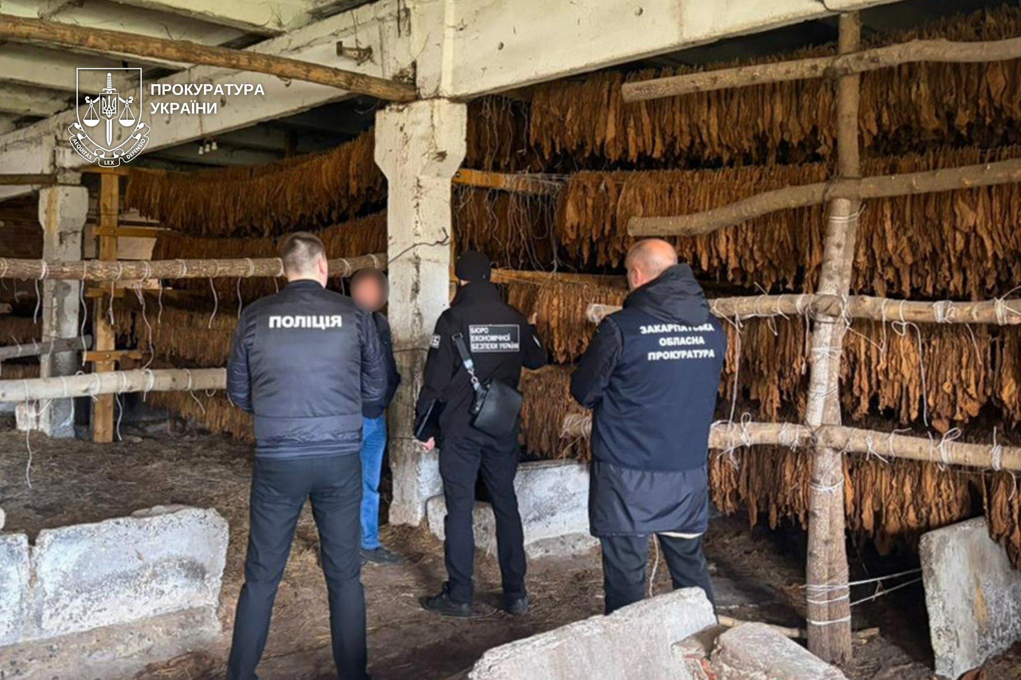 Викрили підпільну мережу тютюнового бізнесу на Франківщині і Закарпатті