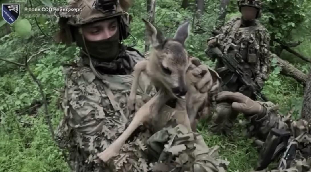 Місія "Бембі": бійці ССО врятували оленятко та взяли в полон трьох окупантів