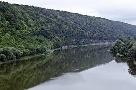 На Франківщині прогнозуть падіння рівня води у Дністрі до мінімального