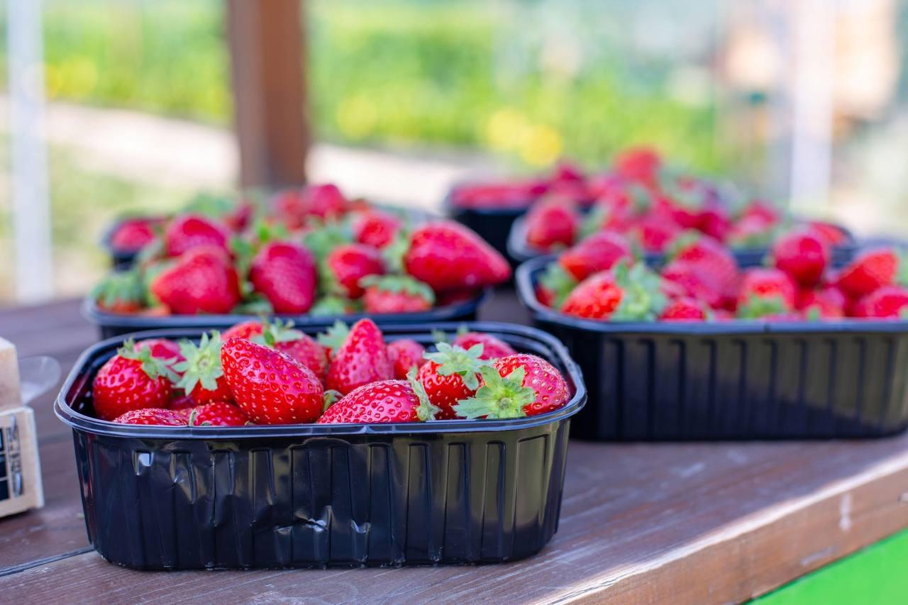 У Чукалівці на фермерському господарстві пройде масштабний фестиваль на підтримку ЗСУ