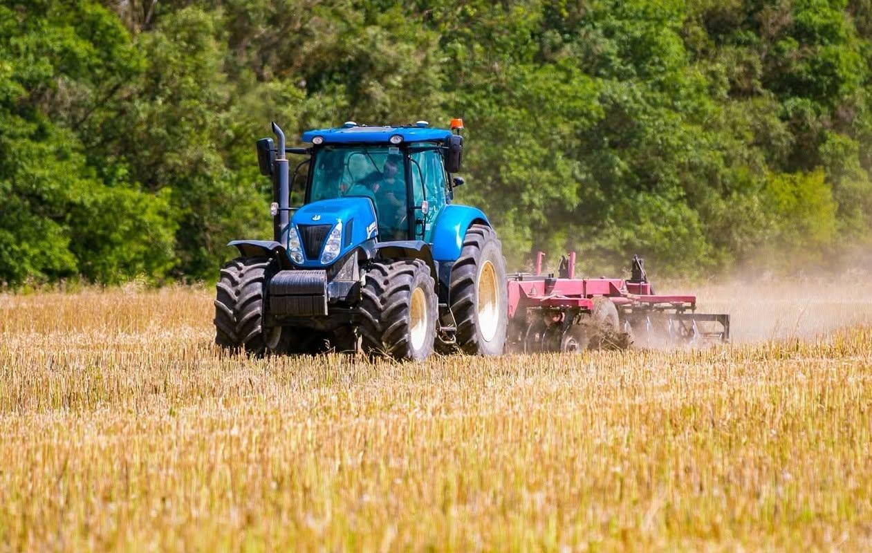 Івано-Франківська громада почала жнивувати