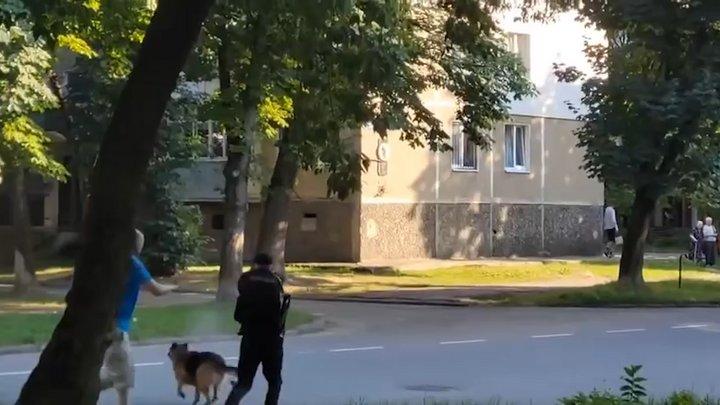 У Калуші проведуть службове розслідування щодо поліцейського, який застрелив собаку