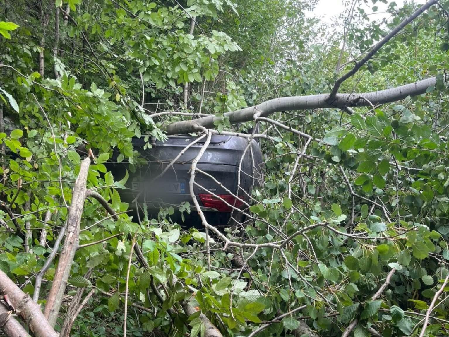 Смертельна ДТП на Прикарпатті: авто з'їхало в кювет та перекинулось